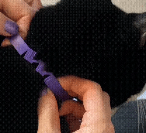 CalmaMiau™ | Collar calmante para gatos · Caja de 4