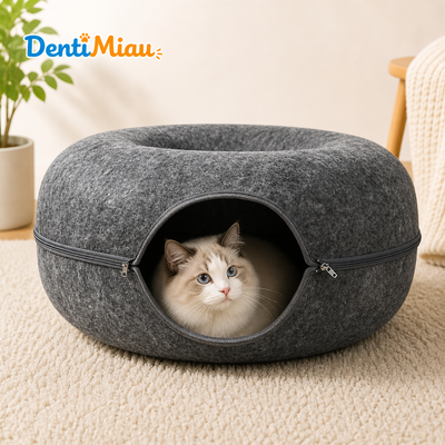 Denti Miau