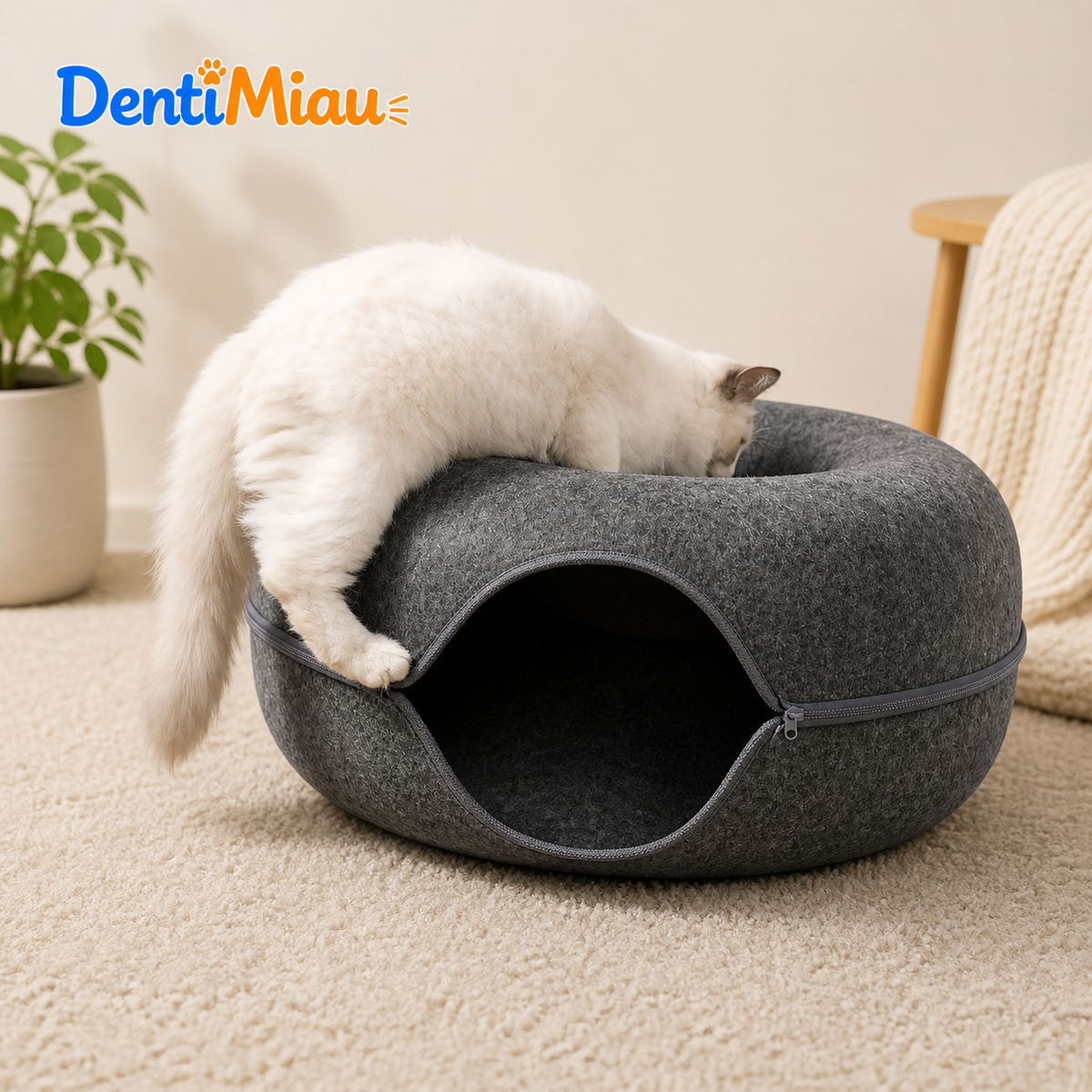 Dona Miau™ | Donde duerme, juega y se esconde + 1 Stick de regalo