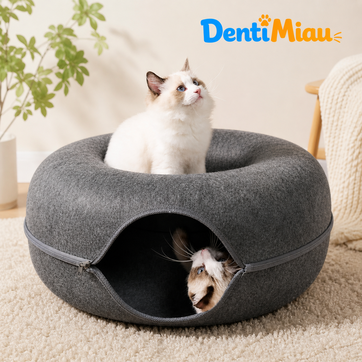 Dona Miau™ | Donde duerme, juega y se esconde + 1 Stick de regalo