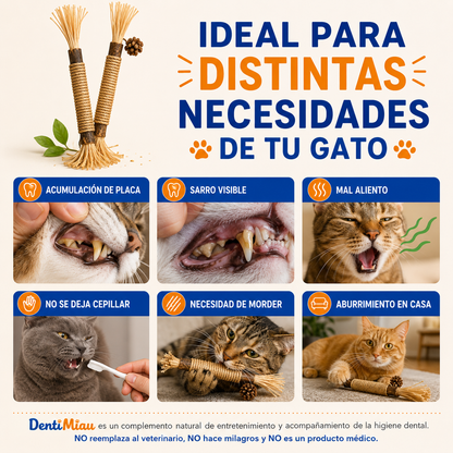 DentiMiau™ | Pack de Sticks Dentales para tu gato