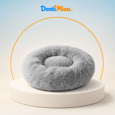 Denti Miau
